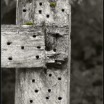 fence with nail holes