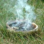 Herbs in smudge bowl